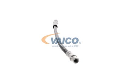 FURTUN FRANA VAICO V250900 46