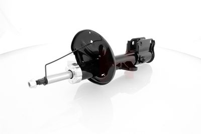 AMORTIZOR GH GH353551H 10