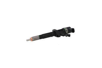 INJECTOR REMANTE 002003000015R 6