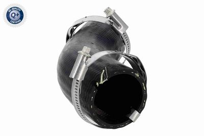 FURTUN EAR SUPRAALIMENTARE ACKOJA A520878 5