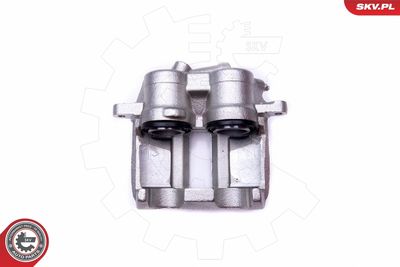 Brake Caliper 50SKV173