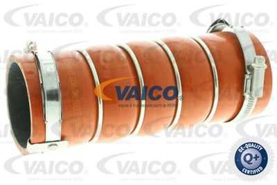 Трубка нагнетаемого воздуха VAICO V42-0615 для PEUGEOT RCZ