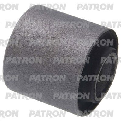 PATRON PSE12038 PATRON PSE12038