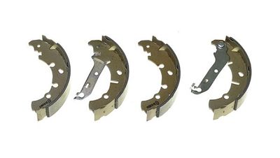 Brake Shoe Set S 24 533