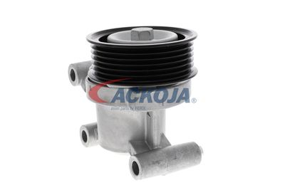 INTINZATOR CUREA CUREA DISTRIBUTIE ACKOJA A320602 44