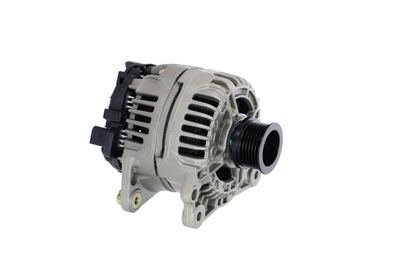 GENERATOR / ALTERNATOR REMANTE 011003000503R 49
