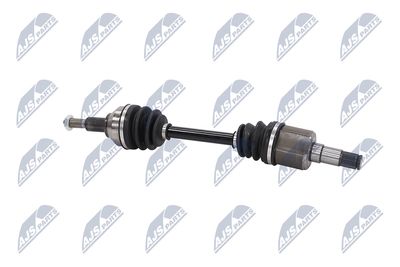 PLANETARA NTY NPWCH034 26