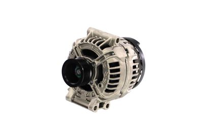 GENERATOR / ALTERNATOR REMANTE 011003000427R 64