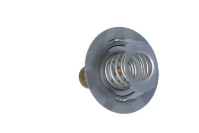 TERMOSTAT LICHID RACIRE NRF 725141 31