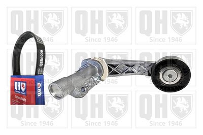 SET CUREA TRANSMISIE CU CANELURI