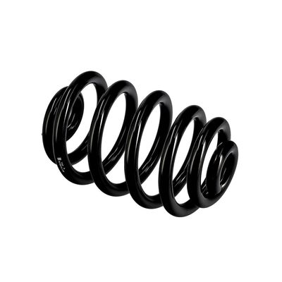 ARC SPIRAL EIBACH R10010 9