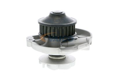 WASSERPUMPE MOTORKüHLUNG VAICO V2450002 18