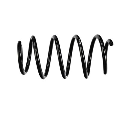 ARC SPIRAL EIBACH R11005 19