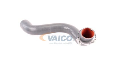 FURTUN EAR SUPRAALIMENTARE VAICO V460823 16