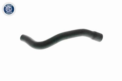 FURTUN RADIATOR VAICO V201649 5