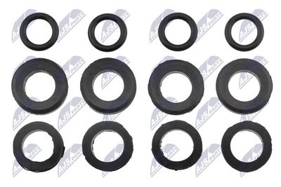 INEL ETANSARE INJECTOR