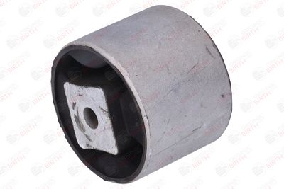 SUPORT MOTOR BIRTH 53418 9