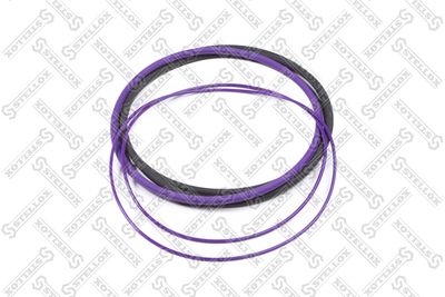 STELLOX 81-98001-SX STELLOX 81-98001-SX