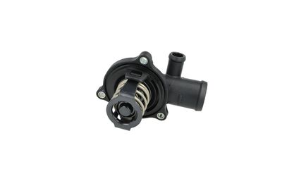 TERMOSTAT LICHID RACIRE NRF 725224 38