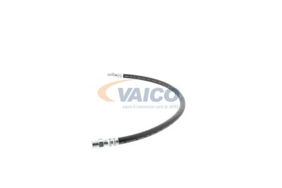 FURTUN FRANA VAICO V309926 23
