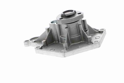 POMPă DE APă RăCIRE MOTOR VAICO V1050066 6
