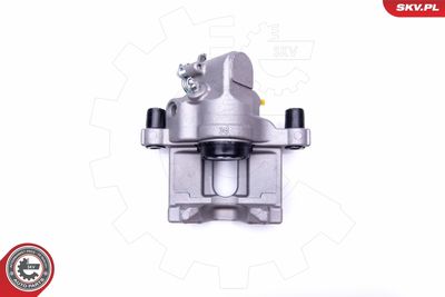 Brake Caliper 42SKV544