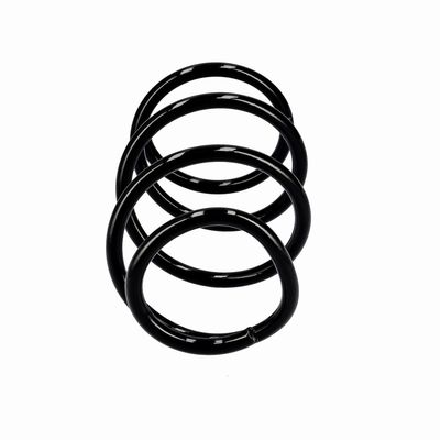 ARC SPIRAL EIBACH R10715 1