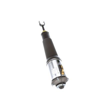 LUFTFEDERBEIN Arnott AS2561 69