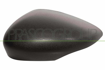 ACOPERIRE OGLINDA EXTERIOARA