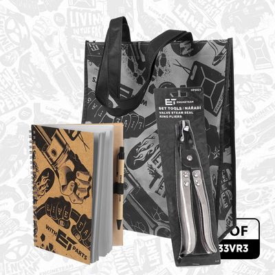 SET CUREA DE DISTRIBUTIE ET ENGINETEAM RM0033VR3 7