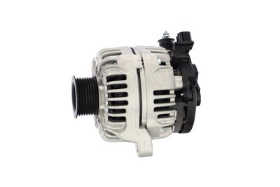 GENERATOR / ALTERNATOR REMANTE 011003000119R 13