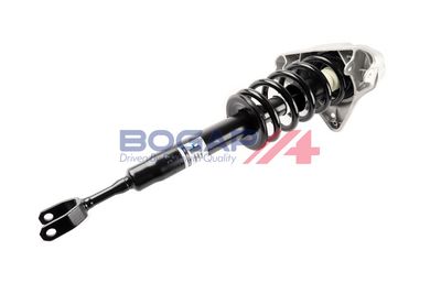 AMORTIZOR BOGAP A3410161 2