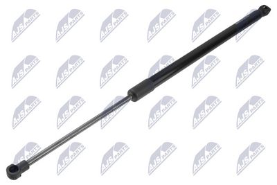 Dujinė spyruoklė, bagažinė