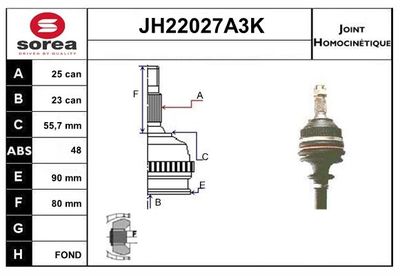 SET ARTICULATIE PLANETARA SNRA JH22027A3K