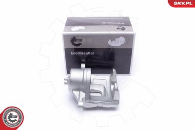 Brake Caliper 46SKV842