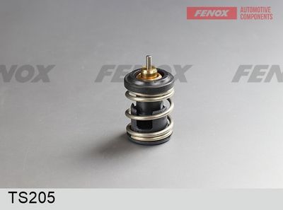 термостат, охладителна течност FENOX TS205