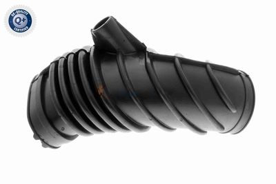 ANSAUGSCHLAUCH LUFTFILTER VAICO V202134 1