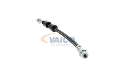 FURTUN FRANA VAICO V251328 19