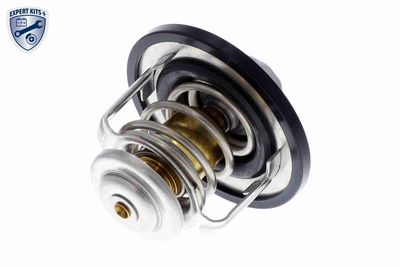 TERMOSTAT LICHID RACIRE ACKOJA A38990003 9