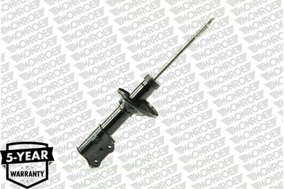 Shock Absorber G16313