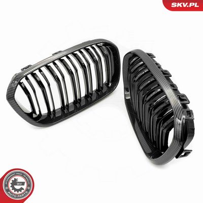 GRILA RADIATOR ESEN SKV 66SKV318 2