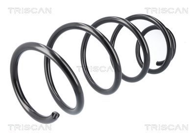 ARC SPIRAL TRISCAN 87501064 1