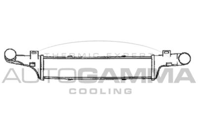AUTOGAMMA 101506 Интеркулер для MERCEDES-BENZ E-CLASS (W210) E 250 Turbo-D (210.015) AUTOGAMMA 101506 Интеркулер для MERCEDES-BENZ E-CLASS (W210) E 250 Turbo-D (210.015)