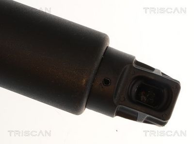 AMORTIZOR PORTBAGAJ TRISCAN 871024307 3