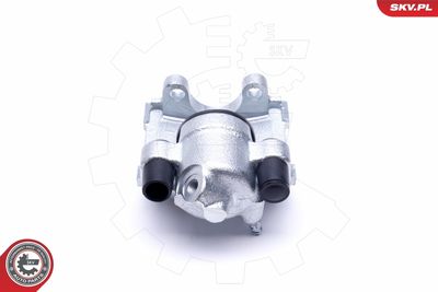 Brake Caliper 46SKV144