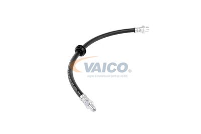 FURTUN FRANA VAICO V204103 41