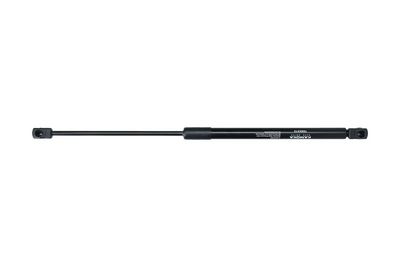 Dujinė spyruoklė, bagažinė