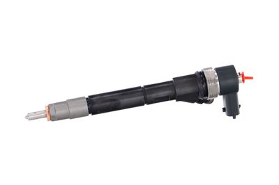 INJECTOR REMANTE 002003000980R 9