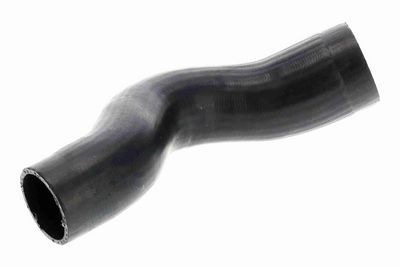 FURTUN EAR SUPRAALIMENTARE