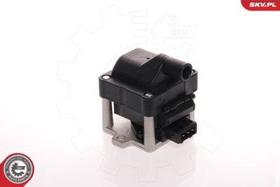 Ignition Coil 03SKV008